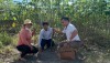 Trung tâm Khuyến nông Quốc gia tổ chức kiểm tra, đánh giá kết quả thực hiện dự án xây dựng mô hình sản xuất sắn (mì) thương phẩm sạch bệnh trên địa bàn tỉnh Tây Ninh