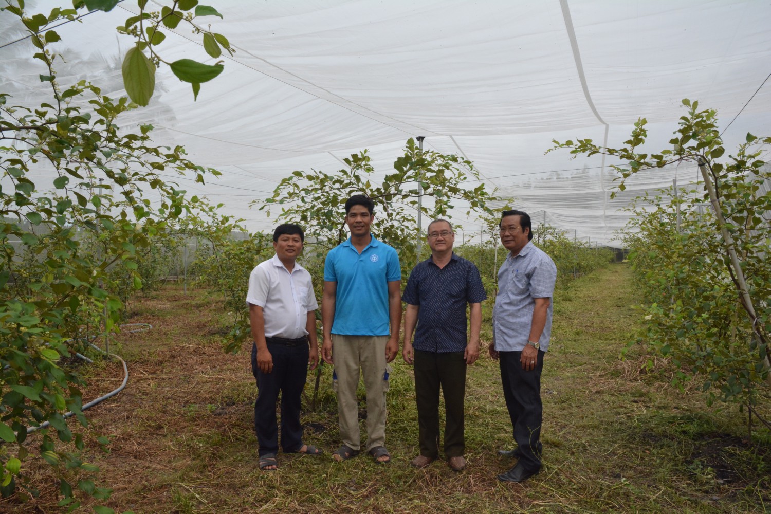 Tân Châu phát huy hiệu quả nguồn vốn vay từ quỹ hỗ trợ nông dân