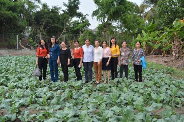Tân Châu: phụ nữ ra mắt tổ hợp tác  “ Trồng trọt, chăn nuôi an toàn ” 