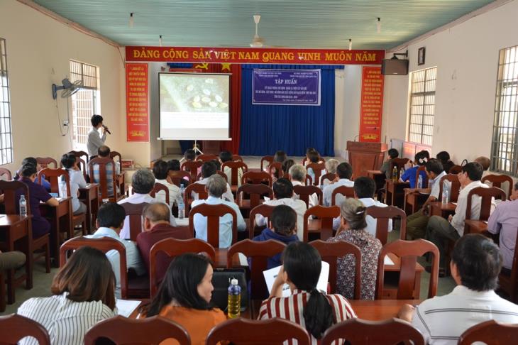 Trung tâm Khuyến nông Tây Ninh tập huấn kỹ thuật phòng trừ bệnh khảm lá mì