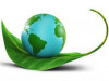Tổ chức “Tháng hành động vì môi trường” hưởng ứng Ngày Môi trường thế giới, Ngày Đại dương thế giới năm 2023