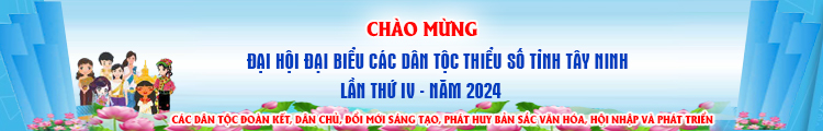 ĐẠI HỘI ĐẠI BIỂU CÁC DÂN TỘC THIỂU SỐ TỈNH